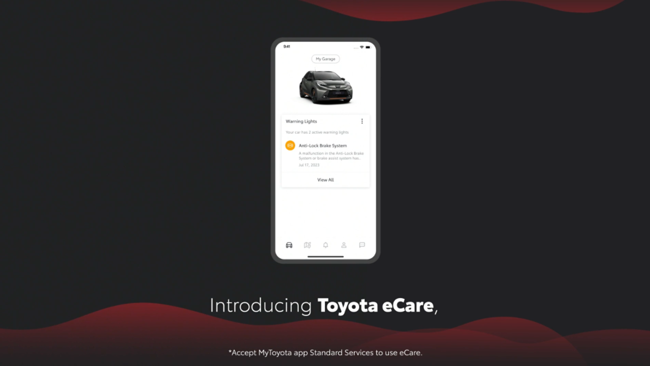 toyota-ecare-2